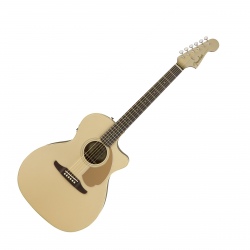 FENDER NEWPORTER PLAYER WN...