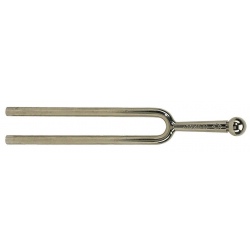 WITTNER KAMERTON Gis 415,0...