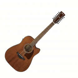 IBANEZ AW5412CE OPN ARTWOOD...