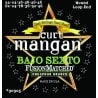 CURT MANGAN Bajo Sexto Light Phos Bronze