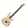 IBANEZ RGEW521FM-NTF
