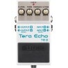 BOSS TE-2 TERA ECHO