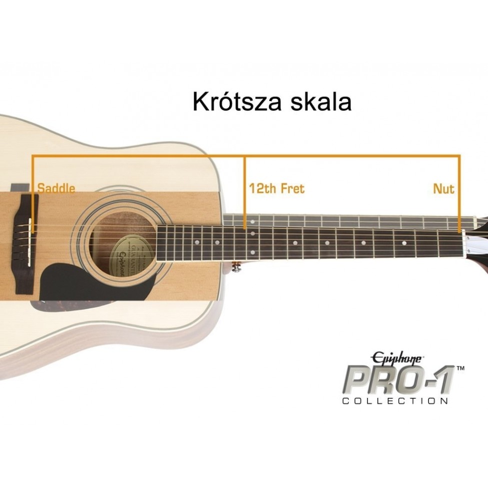 EPIPHONE PRO-1 ACOUSTIC NA
