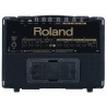 ROLAND KC-110