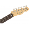 FENDER AMERICAN PERFORMER TELECASTER HUM RW AUB