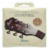 IBANEZ IACSP61C STRUNY GITARA AKUSTYCZNA 10-47 COATED