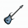 IBANEZ RGD61ALMS-CLL AXION LABEL