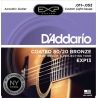 D'ADDARIO EXP13