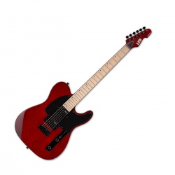 LTD TE-200 MAPLE STBC