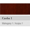 HM X30 MAHOGANY 01 GLOSS-TB.CHESTNUT
