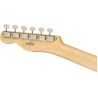 FENDER JIMMY PAGE TELECASTER RW NAT