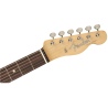 FENDER JIMMY PAGE TELECASTER RW NAT