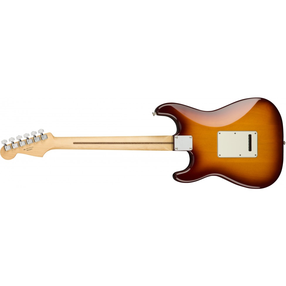 ギター Player Stratocaster Plus Top PF TBS Fender Player Stratocaster Plus Top PF Tobacco Sunburst