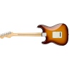 FENDER PLAYER STRATOCASTER PLUS TOP PF TBS