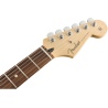 FENDER PLAYER STRATOCASTER PLUS TOP PF TBS