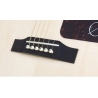 EPIPHONE AJ 220 SCE NA