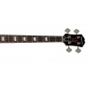 EPIPHONE JACK CASADY BASS EB