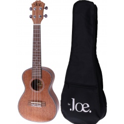 BE JOE FZU-06 NAT CONCERT -...