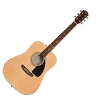 FENDER FA-115 DREADNOUGHT PACK V2 WN NAT
