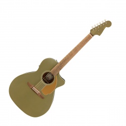 FENDER NEWPORTER PLAYER WN...