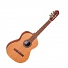 ORTEGA R189GSN-25TH GITARA KLASYCZNA 4/4