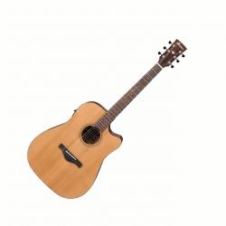 IBANEZ AW65ECE-LG ARTWOOD...