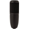 AKG PERCEPTION 120