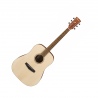IBANEZ PF10-OPN GITARA AKUSTYCZNA