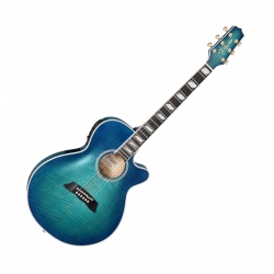 TAKAMINE TSP178AC SBB...