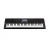 KEYBOARD CASIO CT-X800 + STATYW