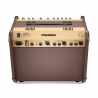 FISHMAN LOUDBOX ARTIST BLUETOOTH