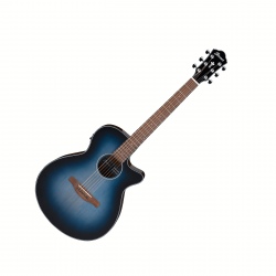 IBANEZ AEG50-IBH GITARA...