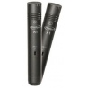 PRODIPE DUO A1 - MIKROFONY INSTRUMENTALNE