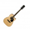 IBANEZ PF1512ECE-NT