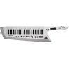 ROLAND AX-EDGE WHITE - KEYTAR