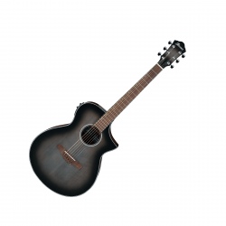 IBANEZ AEWC11-TCB GITARA...