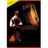 ABSONIC. GITARA FLAMENCO