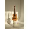 BE JOE GC-202 1/2 S GITARA KLASYCZNA 1/2