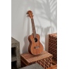 BE JOE FZU-06 NAT CONCERT - UKULELE KONCERTOWE