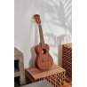 BE JOE FZU-110 NAT CONCERT - UKULELE KONCERTOWE