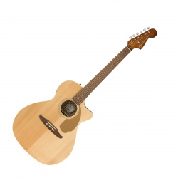 FENDER NEWPORTER PLAYER WN...