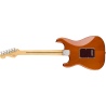 FENDER PLAYER STRATOCASTER PF AGN LIMITED