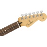 FENDER PLAYER STRATOCASTER PF AGN LIMITED