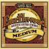 ERNIE BALL 2002
