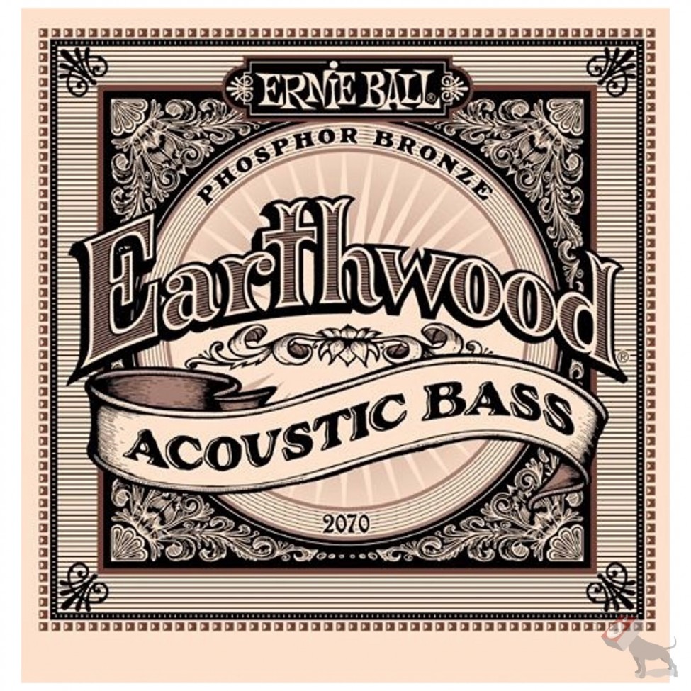 ERNIE BALL 2070