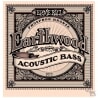 ERNIE BALL 2070