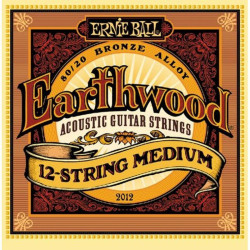 ERNIE BALL 2012