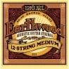 ERNIE BALL 2012