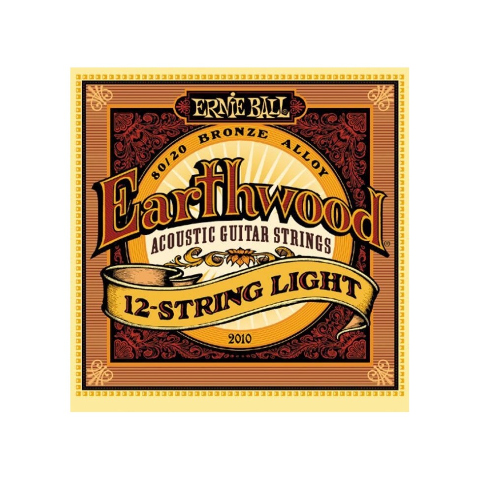 ERNIE BALL 2010