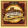 ERNIE BALL 2010